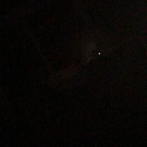 Meet your Posher, Audrey